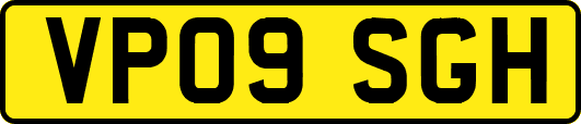 VP09SGH