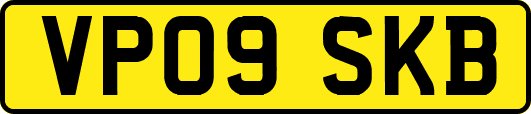 VP09SKB