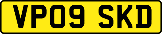 VP09SKD