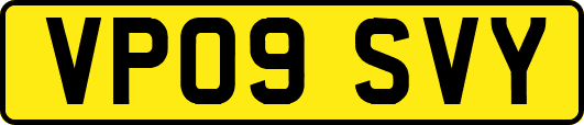 VP09SVY