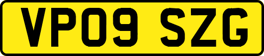 VP09SZG