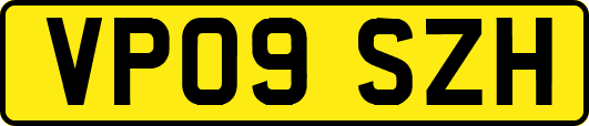 VP09SZH