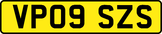 VP09SZS