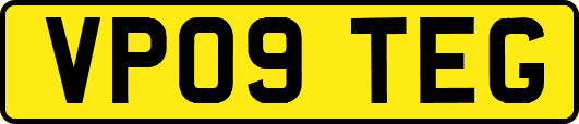 VP09TEG
