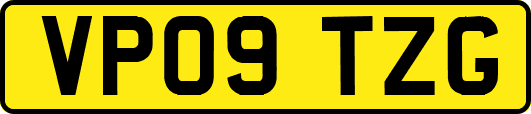 VP09TZG