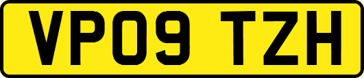 VP09TZH