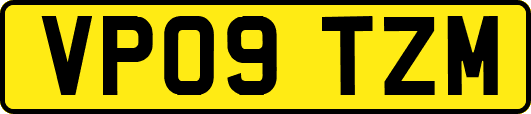 VP09TZM