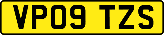 VP09TZS