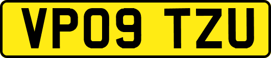 VP09TZU