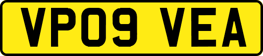 VP09VEA