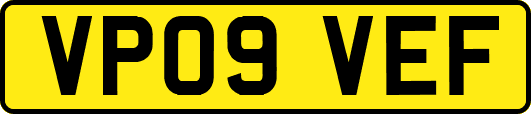 VP09VEF