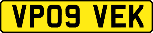 VP09VEK