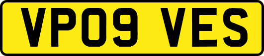 VP09VES
