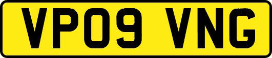 VP09VNG