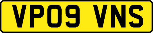 VP09VNS
