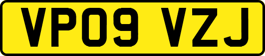 VP09VZJ