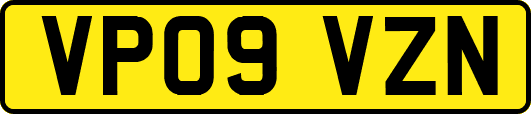 VP09VZN