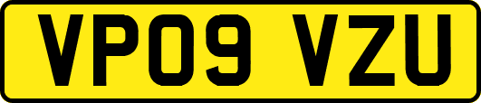 VP09VZU