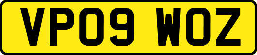 VP09WOZ