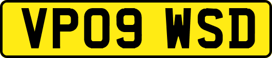 VP09WSD
