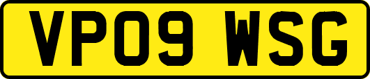 VP09WSG