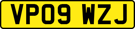 VP09WZJ