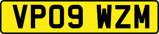 VP09WZM