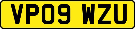 VP09WZU