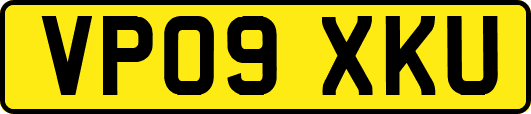 VP09XKU