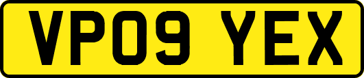 VP09YEX