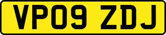 VP09ZDJ