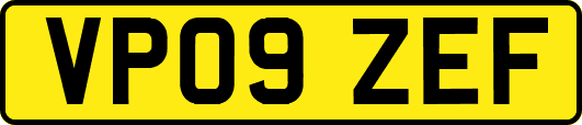 VP09ZEF