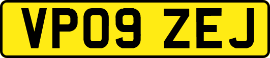 VP09ZEJ