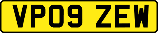 VP09ZEW