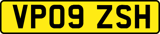 VP09ZSH
