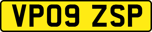 VP09ZSP