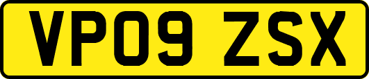 VP09ZSX