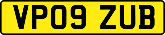 VP09ZUB