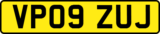 VP09ZUJ