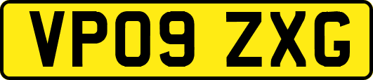 VP09ZXG