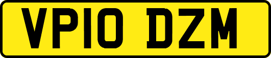 VP10DZM