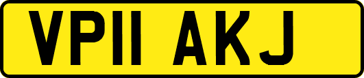 VP11AKJ
