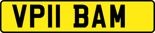 VP11BAM