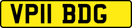 VP11BDG