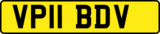 VP11BDV