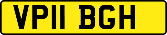VP11BGH