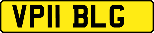 VP11BLG