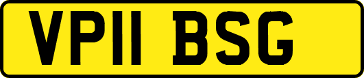 VP11BSG