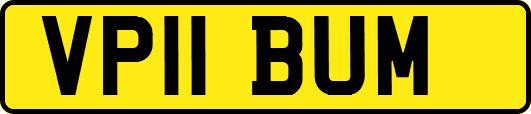 VP11BUM