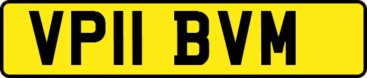 VP11BVM